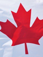 NEW!  THE DTI CANADIAN PACKAGE